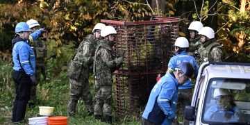 Más de 10 muertos por ataques de osos hacen que Japón despliegue a su Ejército