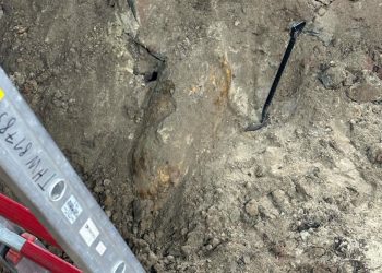 Más de 20 mil personas evacuadas en Núremberg tras hallazgo de una bomba de la Segunda Guerra Mundial