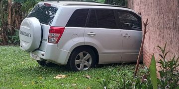 Docente muere embestida por camioneta cuyo conductor dio positivo a alcotest