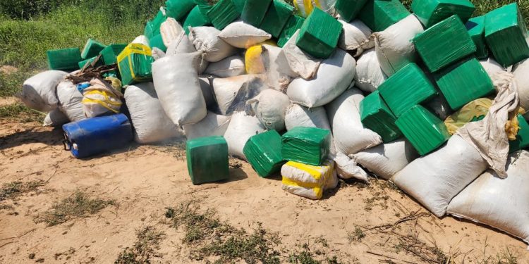 SENAD desmanteló una estructura narco en Yby Yaú