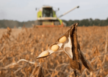 Paraguay, Argentina, Brasil acusan a Europa de «obligaciones extraterritoriales»