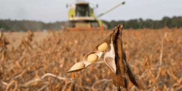 Paraguay, Argentina, Brasil acusan a Europa de «obligaciones extraterritoriales»