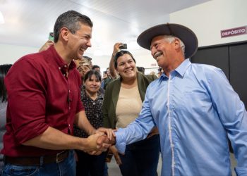 Borrador automático