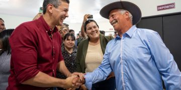 Borrador automático