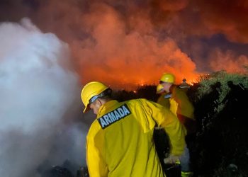 Bomberos sofocaron incendios en zona Costanera Sur