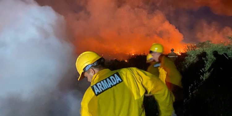 Bomberos sofocaron incendios en zona Costanera Sur