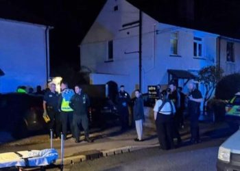 Un perro alterado por fuegos artificiales ataca y mata a un bebé