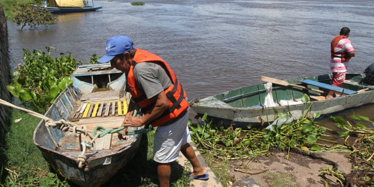 Pagarán subsidio a pescadores a fines de noviembre