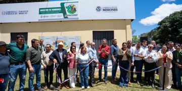 Productores avanzan en la industrialización con procesadora de mandioca en Misiones