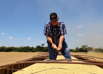 Campaña sojera 2025/2026: producción podría superar los 10,5 millones de toneladas