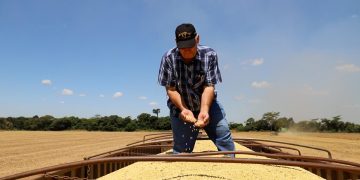 Campaña sojera 2025/2026: producción podría superar los 10,5 millones de toneladas