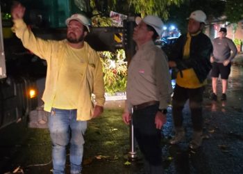 ANDE pretende restablecer hoy todo el suministro eléctrico tras temporal del domingo