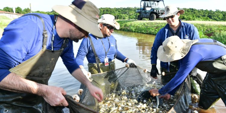 Fuertes sanciones contempladas para quienes no respeten veda pesquera