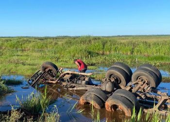 Misiones: camión cargado de ladrillos cayó en un estero