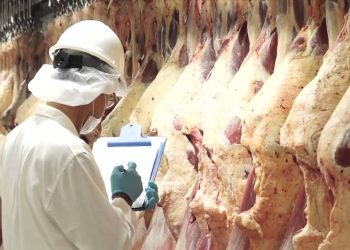 Paraguay avanza para reabrir mercado de carne vacuna con Turquía