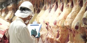 Paraguay avanza para reabrir mercado de carne vacuna con Turquía