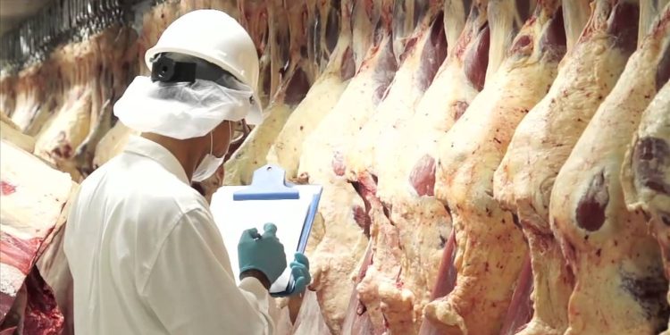 Paraguay avanza para reabrir mercado de carne vacuna con Turquía