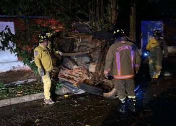 Sacerdote perdió la vida tras chocar su auto contra un árbol
