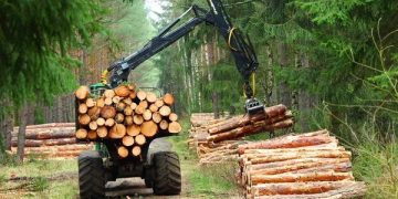 Madereros apuntan a superar la barrera de los USD 100 millones en 2026