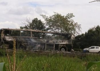 Accidente de autobús en Veracruz deja ocho muertos y 19 heridos