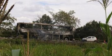 Accidente de autobús en Veracruz deja ocho muertos y 19 heridos