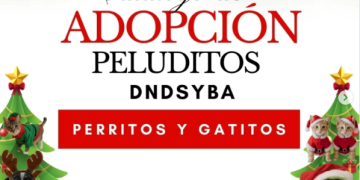 Defensa Animal invita a adoptar a perros y gatos bajo su resguardo en estas fiestas