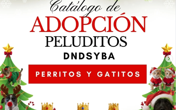 Defensa Animal invita a adoptar a perros y gatos bajo su resguardo en estas fiestas