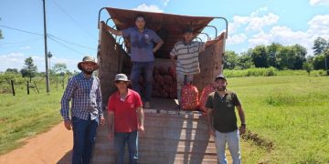 Productores caazapeños comercializan con éxito cebolla en el Mercado de Abasto