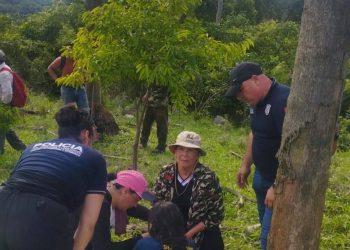 Hallan con vida a abuelita desaparecida en el monte