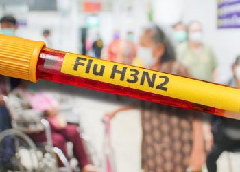 Paraguay en alerta por eventual llegada de variante K de la influenza A