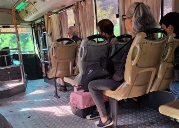 Mujer fue obligada a bajar del bus por llevar un gatito y la empresa le pidió disculpas