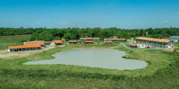 Caso de presunta estafa de una inmobiliaria está «congelado», dice abogado de víctimas