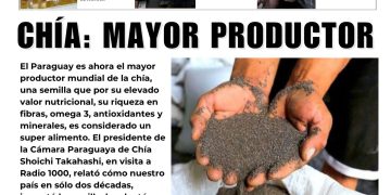 4 de diciembre de 2025