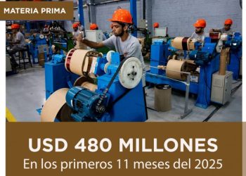 Paraguay supera USD 480 millones en importaciones de Materia Prima