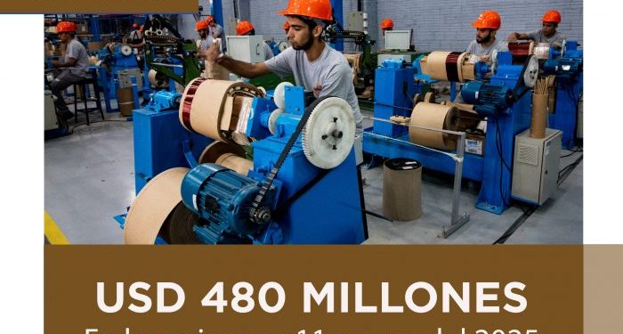 Paraguay supera USD 480 millones en importaciones de Materia Prima