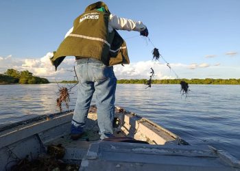 Desde el inicio de veda, fueron retirados más de 41 mil metros de espineles y redes de ríos