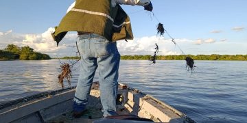 Desde el inicio de veda, fueron retirados más de 41 mil metros de espineles y redes de ríos