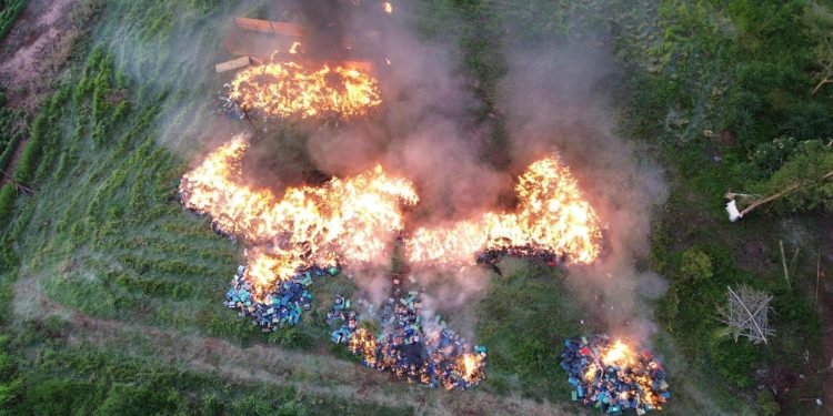 Incineración de histórica incautación de marihuana en Canindeyú