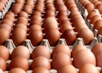 Paraguay sigue siendo uno de los países en donde el huevo está más barato, resaltan