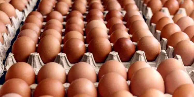 Paraguay sigue siendo uno de los países en donde el huevo está más barato, resaltan