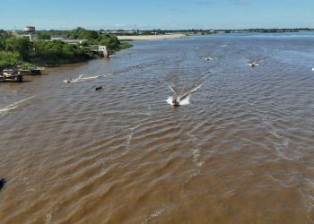 Se reactiva comisión mixta para garantizar navegabilidad del tramo compartido del río Paraguay