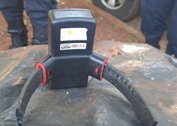 Hallan tobillera electrónica de monitoreo abandonada en un baldío en CDE