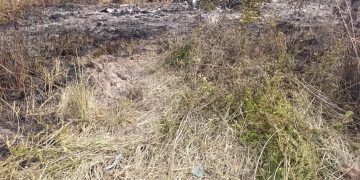 Detectan aeronave boliviana siniestrada e incinerada en Concepción