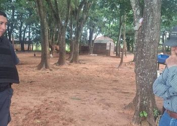 Desconocidos disparan contra establecimiento ganadero en Yasy Cañy