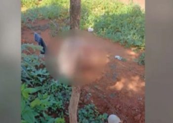 Adolescente de 14 años dio a luz en su casa y mató a su bebé recién nacido