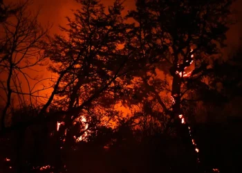 La Patagonia argentina sufre importantes incendios y ya hay 45.000 hectáreas quemadas