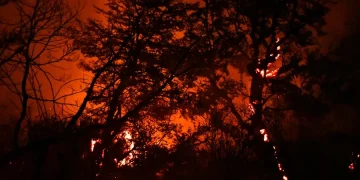La Patagonia argentina sufre importantes incendios y ya hay 45.000 hectáreas quemadas