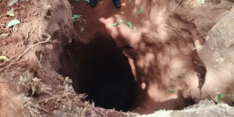 Fiscalía interviene ante el hallazgo de una fosa de 11 metros en estancia de San Pedro