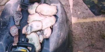 Fiscal denuncia alteración de la escena tras hallazgo de avioneta incinerada en Concepción