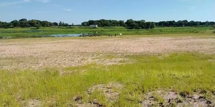 Hallan sin vida al pequeño Alexander en Pilar